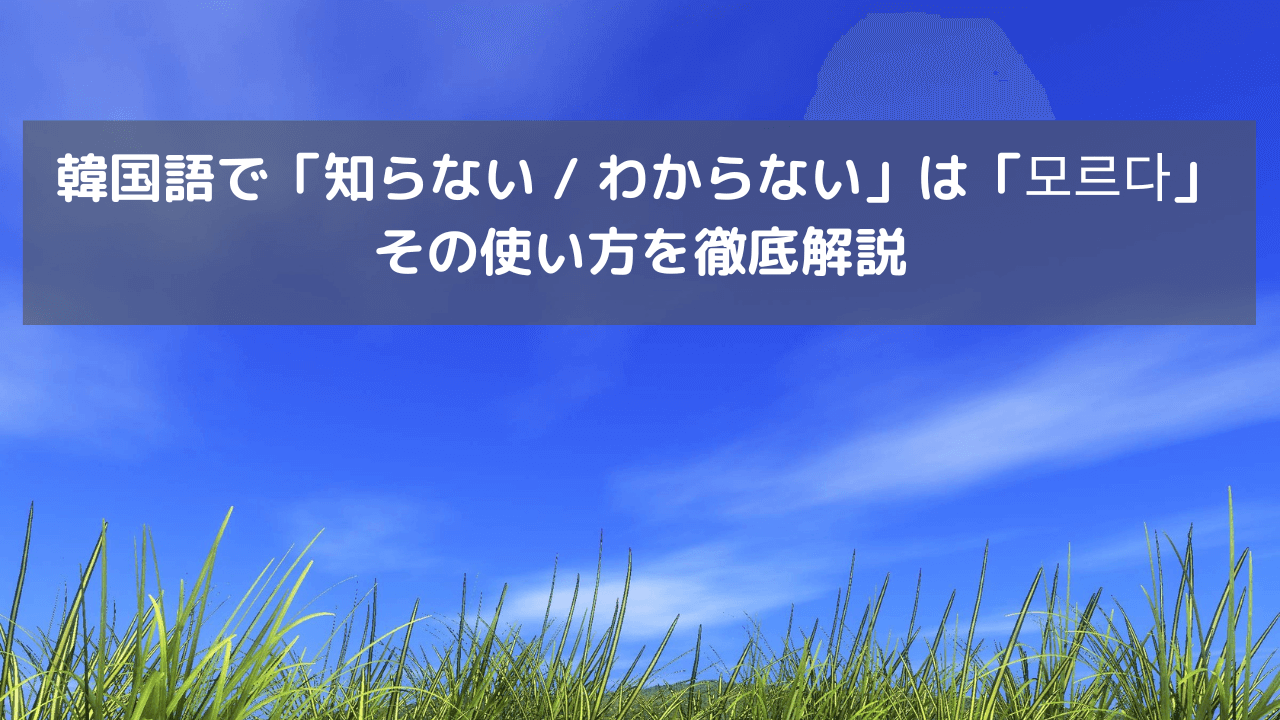 韓国語で「知らない / わからない」は「모르다」その使い方を徹底解説 -